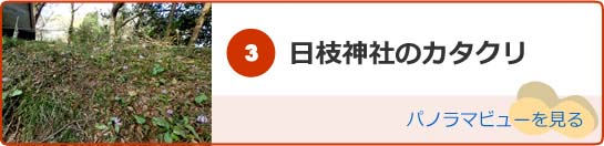 日枝神社のカタクリのパノラマビューを見る