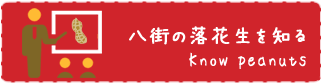 八街の落花生を知る