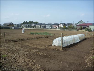 並木農園の農園画像