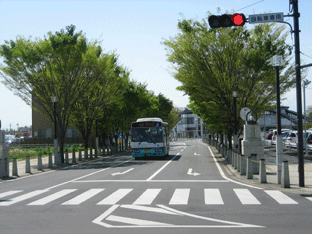 八街駅北側地区土地区画整理事業　平成21年4月23日現在の画像2