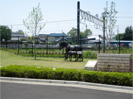 芝のまきば公園の画像2