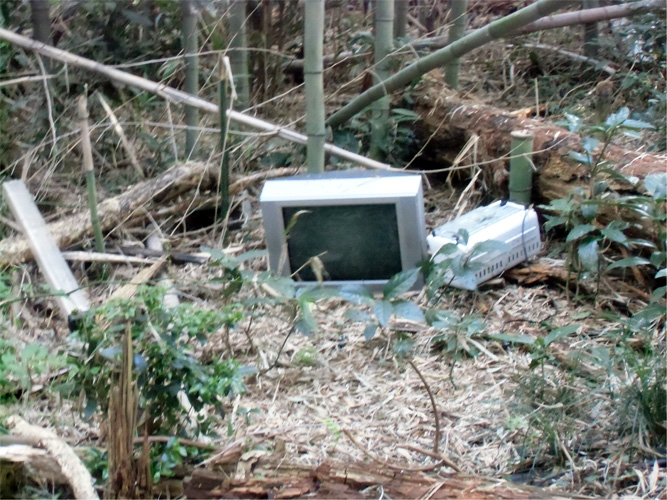 過去の不法投棄現場の画像2