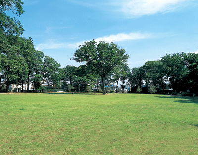 けやきの森公園の画像