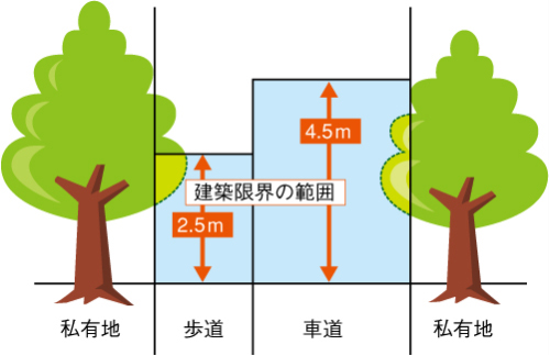 樹木の枝などが道路に張り出していませんかの画像