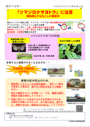 「ツマジロクサヨトウ」に注意 飼料用とうもろこしに発生中