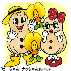 06 ピーちゃん　ナッちゃん と落花生の花