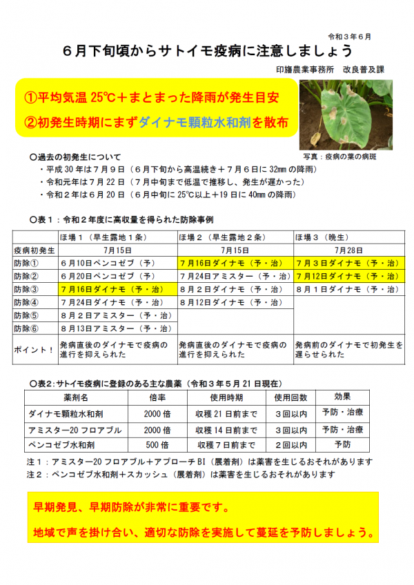 サトイモ疫病注意資料