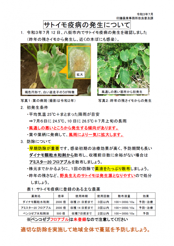 サトイモ疫病の発生について