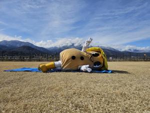 南アルプスの山々を満喫するピーちゃん