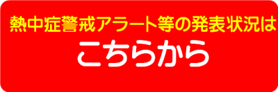 発表状況