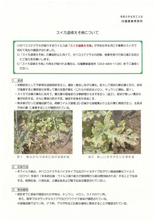 スイカ退緑えそ病について