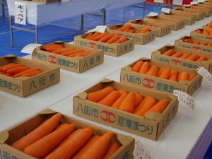 第47回八街市産業まつりが開催されました。 会場で、市内の新鮮な野菜などの農産物や特産品が販売され、特設ステージでは「やちまたふるさと応援大使」の植草歩さんや「やちまたPR大使」の落花生娘の皆さんなどが会場を盛り上げ、賑わいをもたらしました。