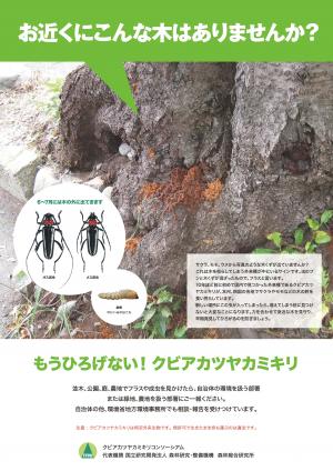 リーフレット2