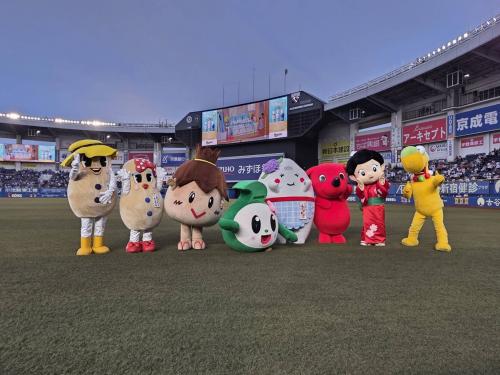 スタジアム内