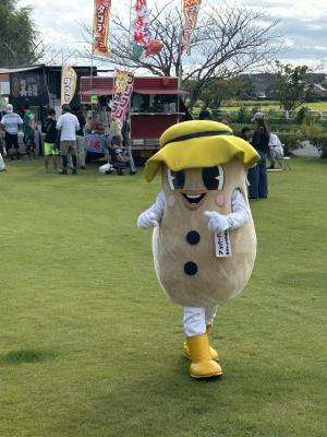 お散歩ピーちゃん