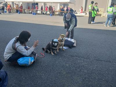 ペット避難・飼育場所の様子