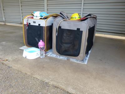 ペット避難・飼育場所