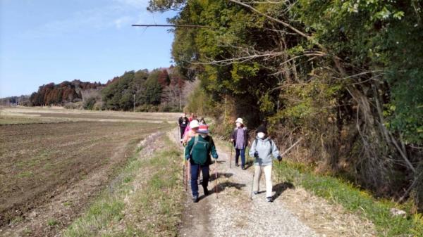 ノルディックウォーク